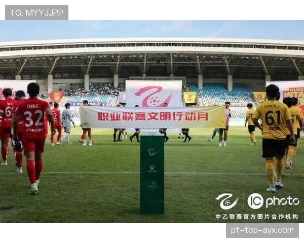 球迷协会的组织：统一服装，统一口号，球迷协会是什么组织